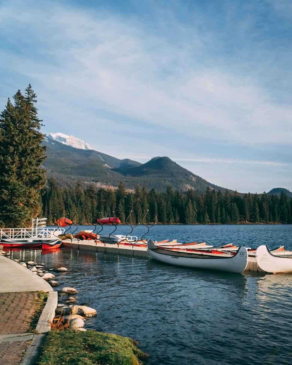 Lakeside View