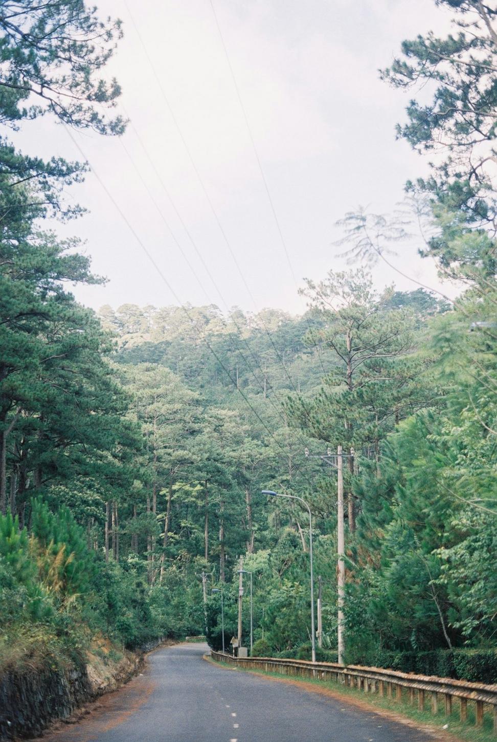 Ziplining