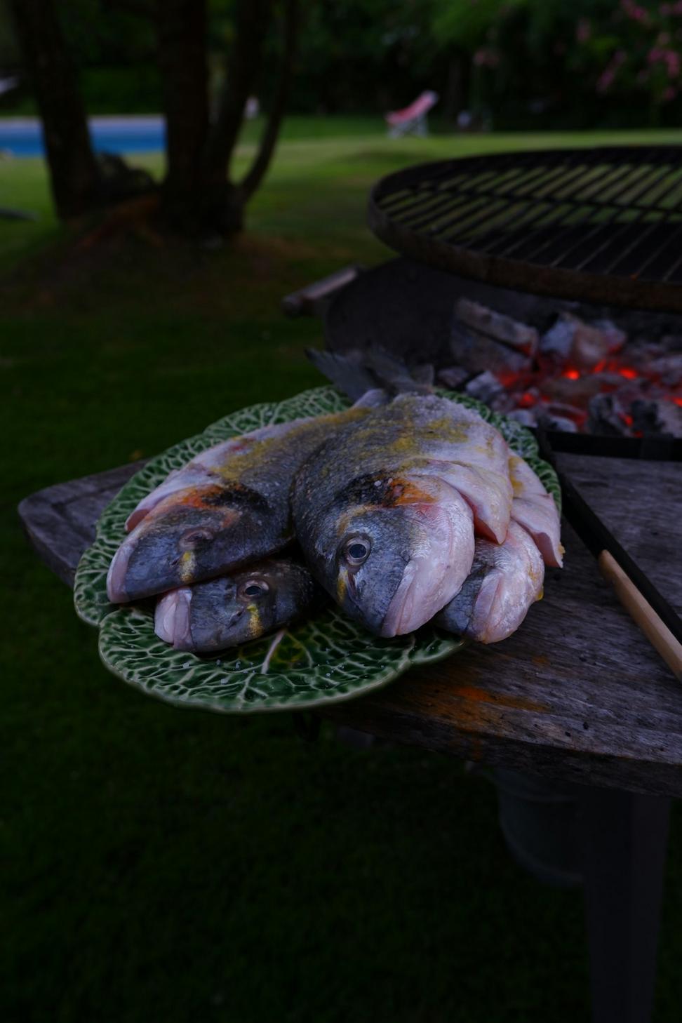 Wild salmon entree