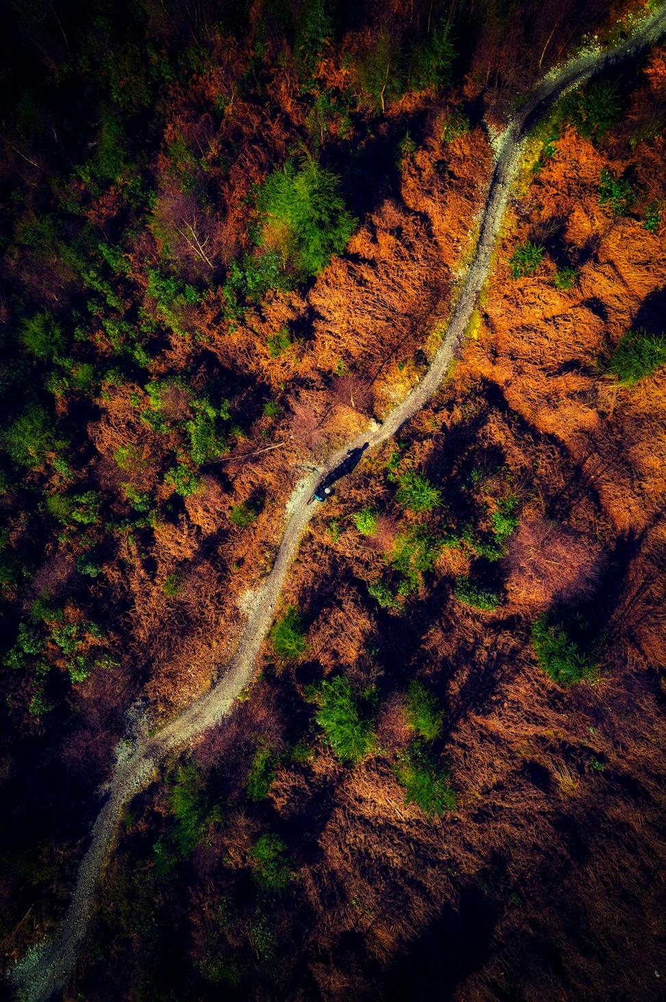 Mountain Biking